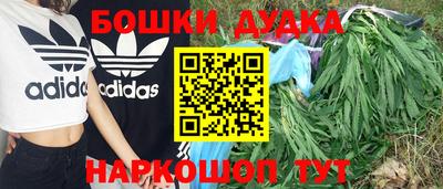 прущие крисы Дубна