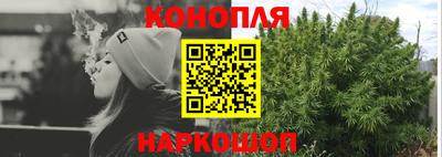 СК Донецк
