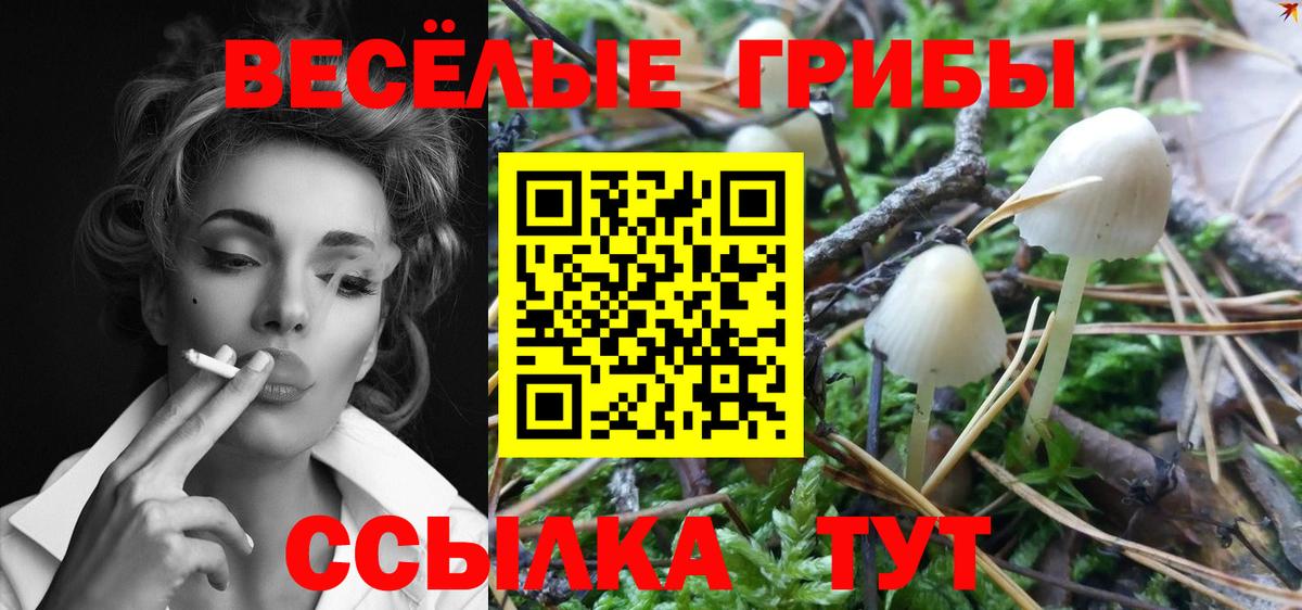 Псилоцибиновые грибы Magic Shrooms  Вход с VPN  Галлюциногенные грибы Psilocybine cubensis  Миллерово 